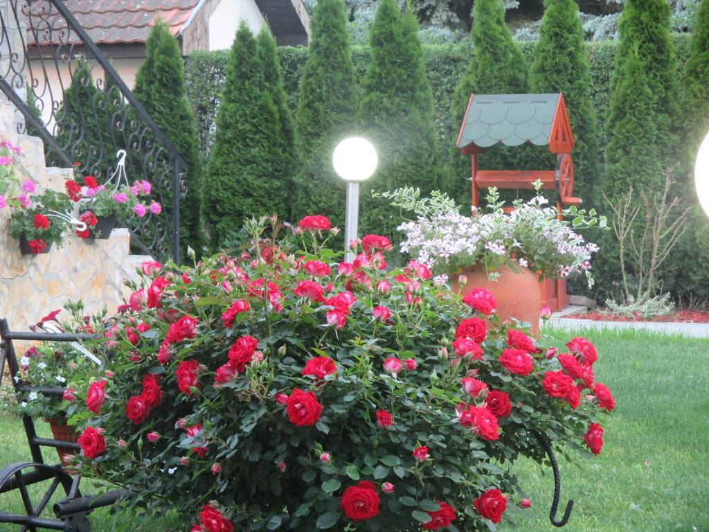 Vila Boska Palić Exteriör bild